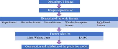 The value of computed tomography-based radiomics for predicting malignant pleural effusions